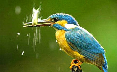 �@�������£����B�Ć�ʾ