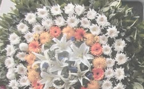 С�W(xu��)���W(w��ng)�ϼ���Ӣ�ҵļ��Z(y��)