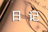 小學(xué)標(biāo)準(zhǔn)日記的格式