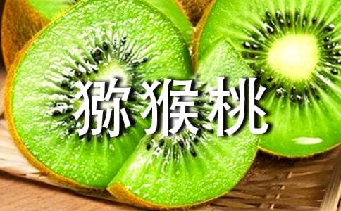 �茑�J���ҵ�С�W(xu��)����