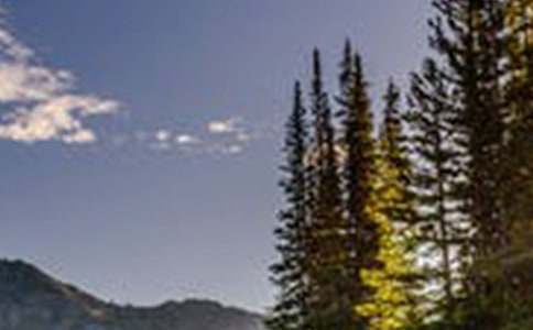 �茑(xi��)���B�L(f��ng)������400��